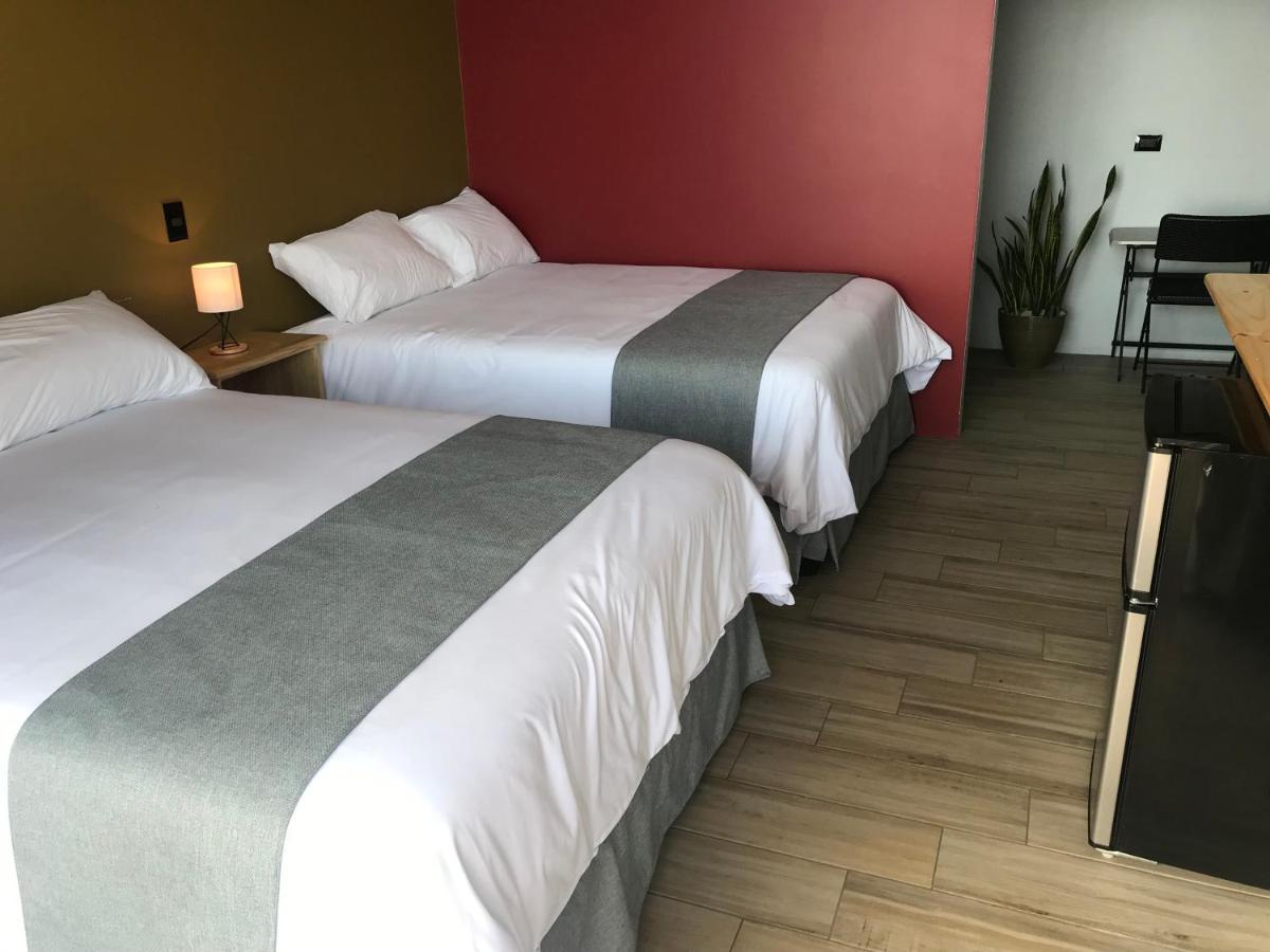 Hospedaje Alto Lechuza Zarcero 外观 照片