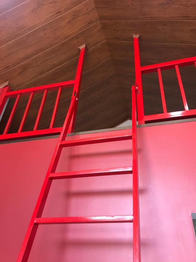 Hospedaje Alto Lechuza Zarcero 外观 照片